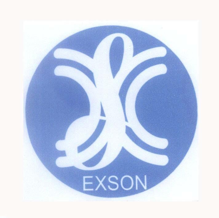 Mẫu nhãn hiệu X S EXSON