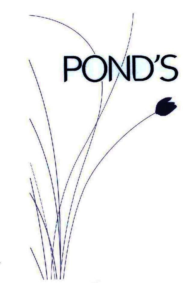 Mẫu nhãn hiệu POND'S