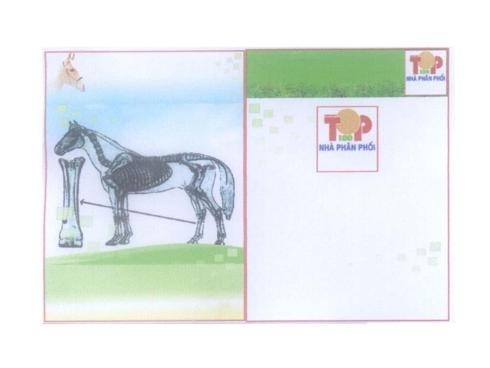Mẫu nhãn hiệu TOP 100 Nhà Phân Phối