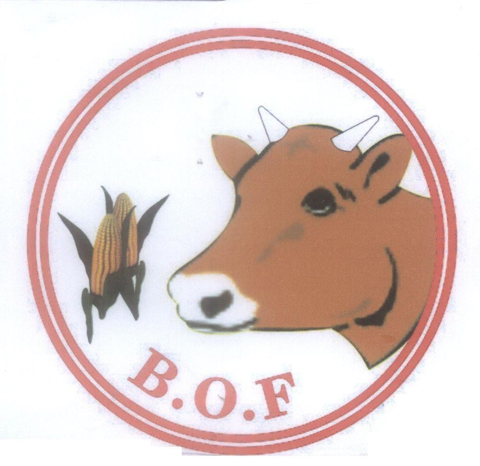 Mẫu nhãn hiệu B.O.F