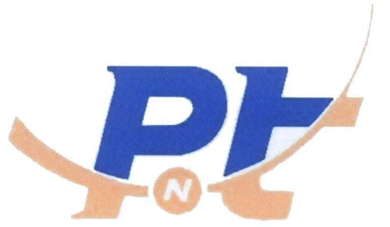 Mẫu nhãn hiệu PNt Pt n