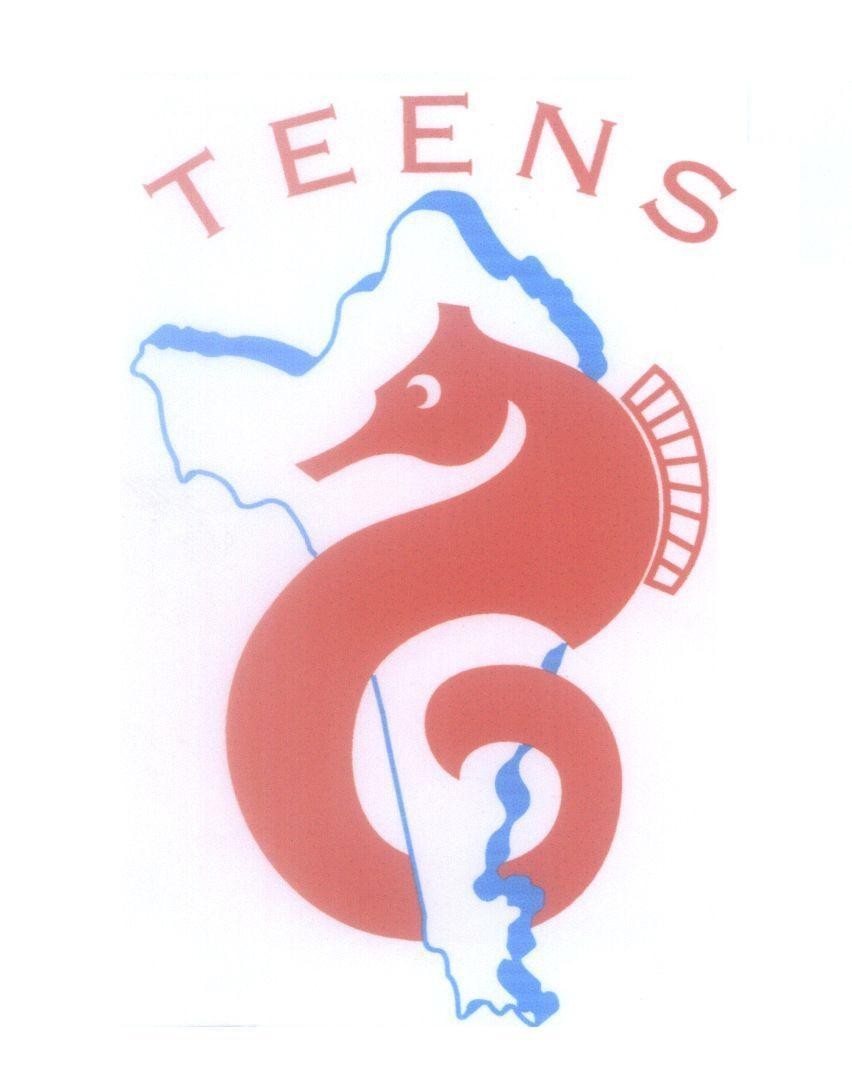 Mẫu nhãn hiệu TEENS