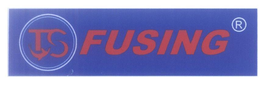 Mẫu nhãn hiệu TS FUSING