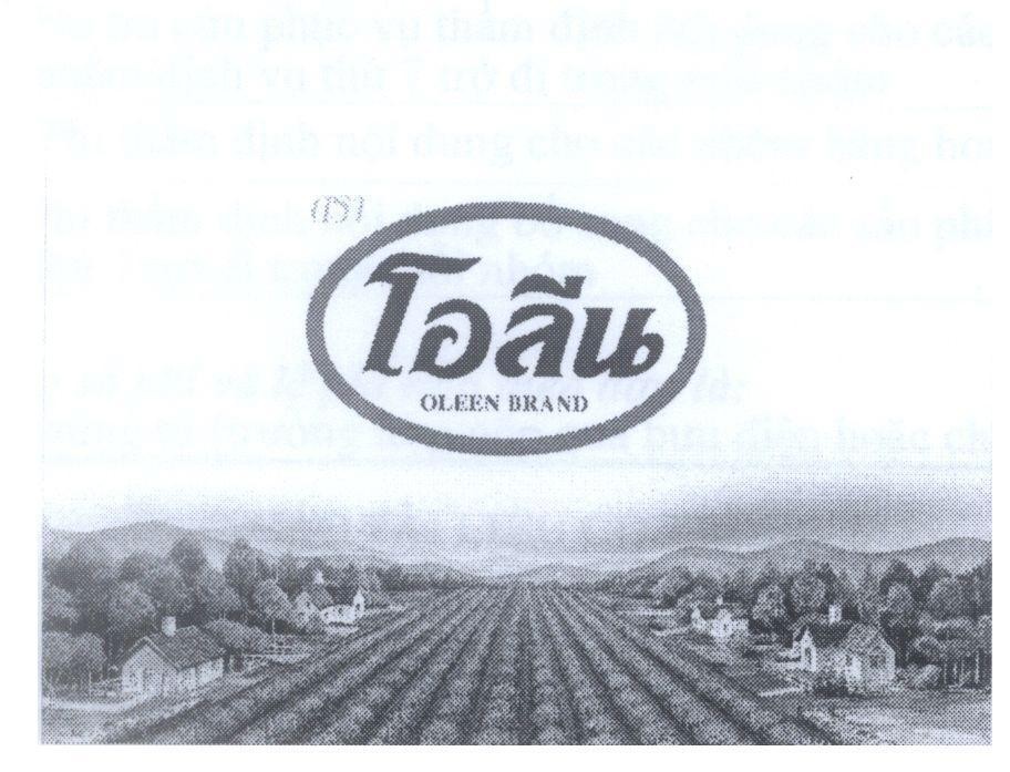 Mẫu nhãn hiệu OLEEN BRAND [OLEEN]
