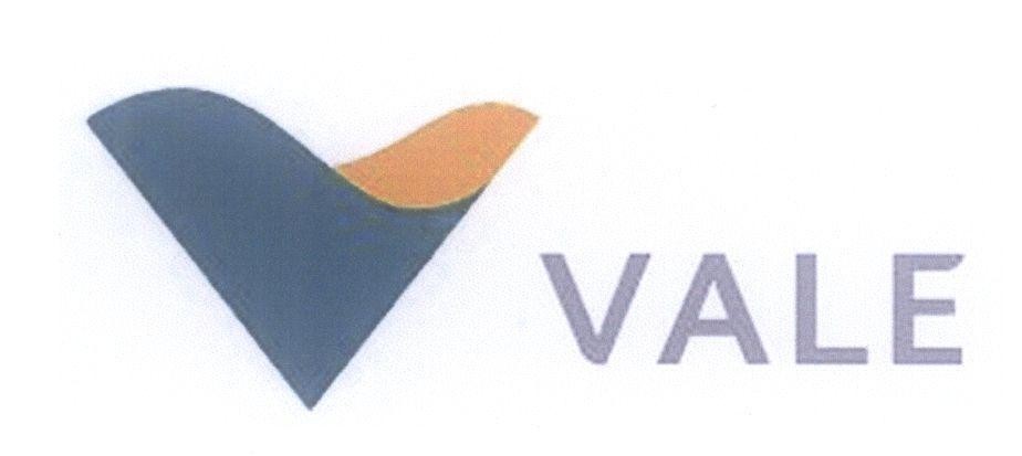 Mẫu nhãn hiệu V VALE