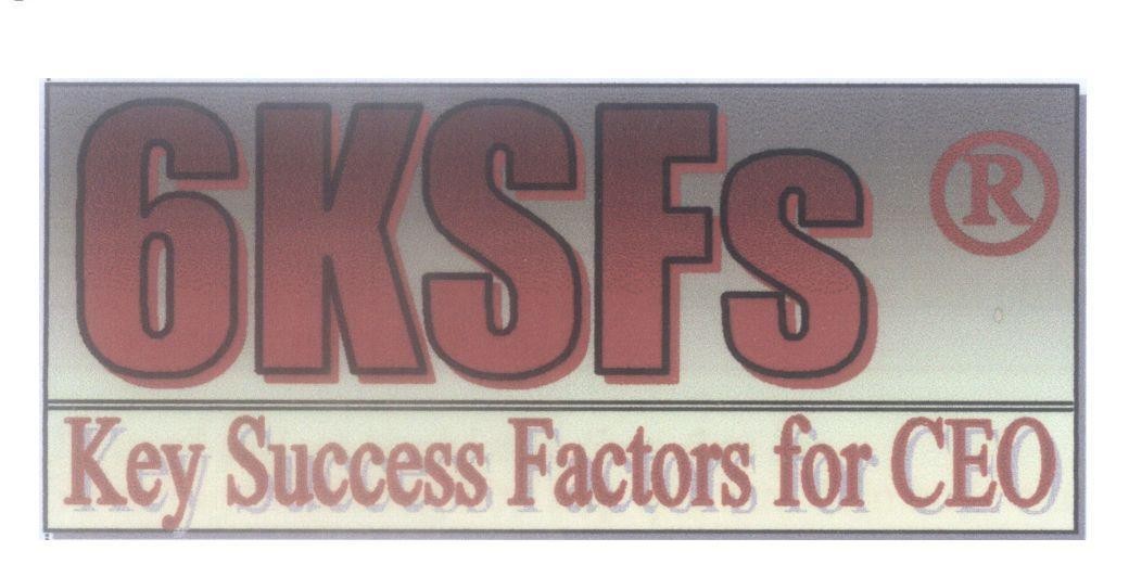 Mẫu nhãn hiệu 6KSFs Key Success Factors for CEO