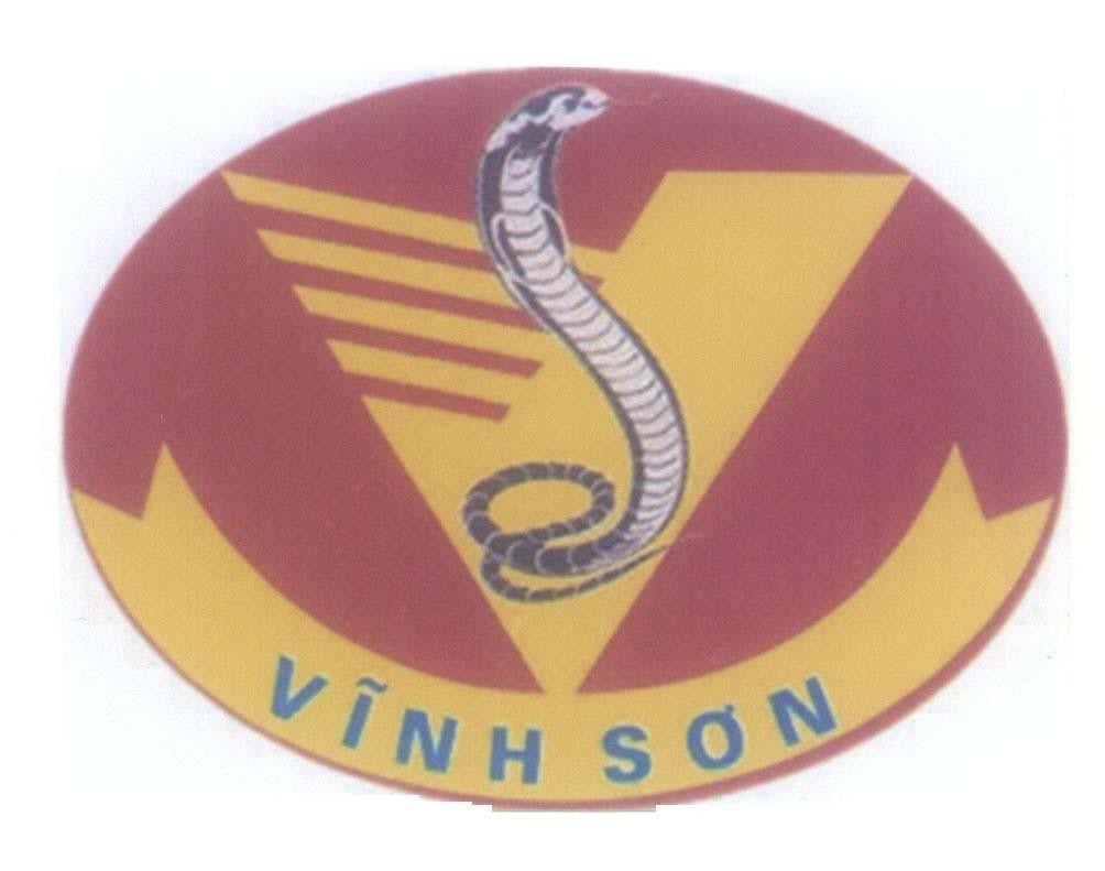 Mẫu nhãn hiệu Vĩnh Sơn V S