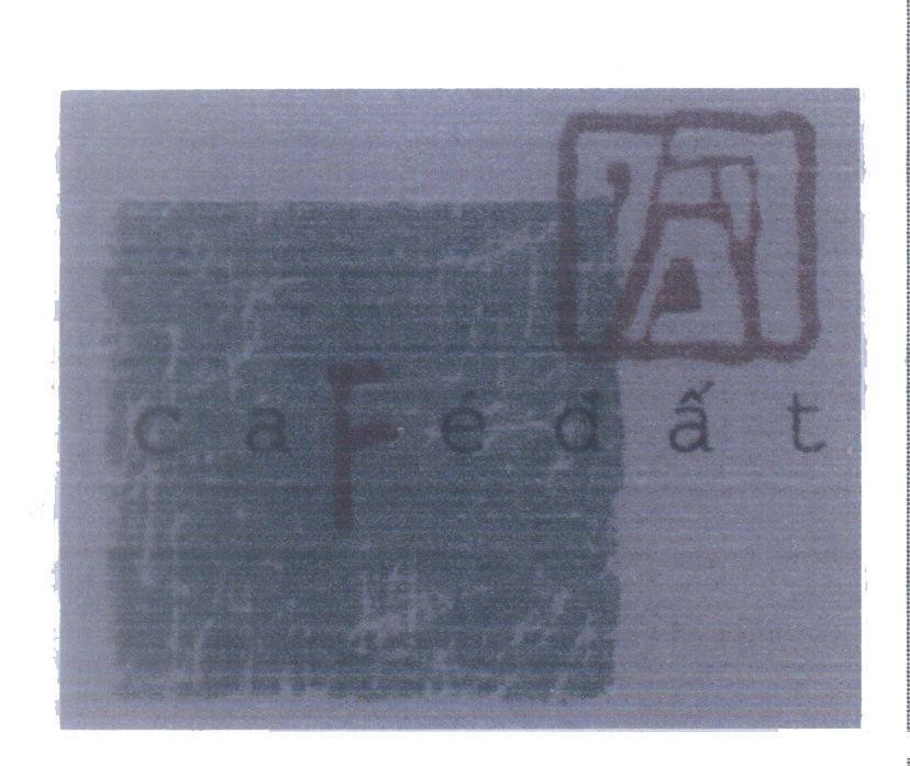 Mẫu nhãn hiệu caFé đất Đất