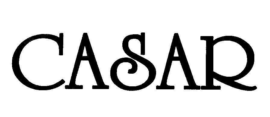 Mẫu nhãn hiệu CASAR