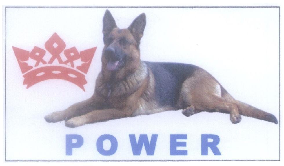 Mẫu nhãn hiệu POWER