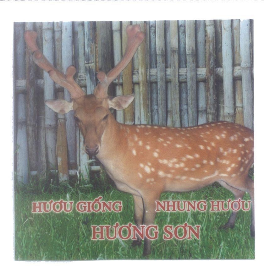 Mẫu nhãn hiệu Hươu Giống Nhung Hươu Hương Sơn