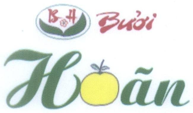 Mẫu nhãn hiệu Bưởi Hoãn B H