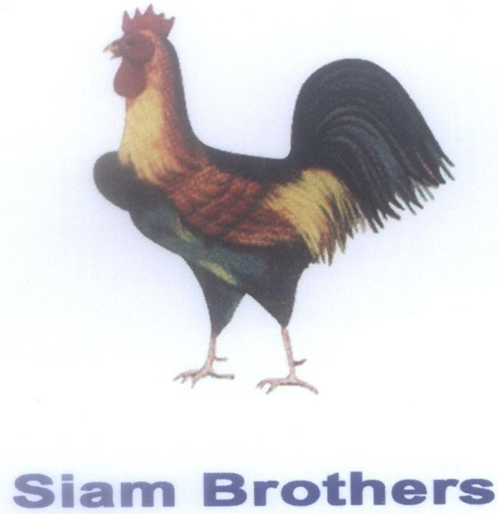 Mẫu nhãn hiệu Siam Brothers