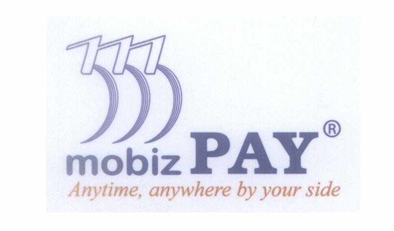 Mẫu nhãn hiệu 333 mobiz PAY Anytime, anywhere by your side