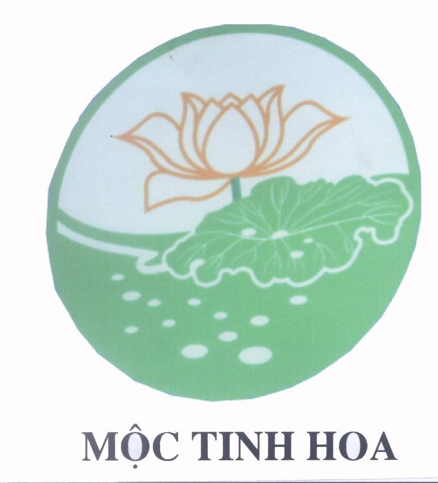 Mẫu nhãn hiệu Mộc Tinh Hoa