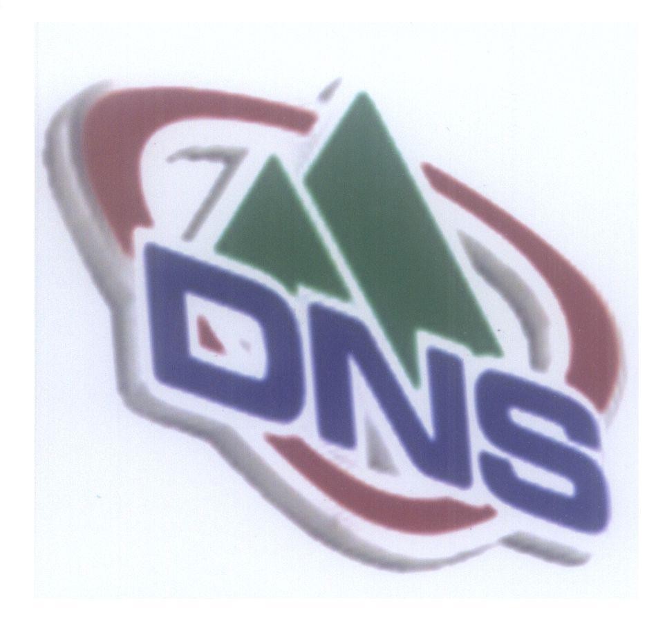 Mẫu nhãn hiệu DNS
