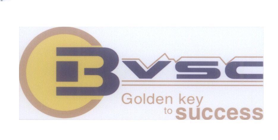 Mẫu nhãn hiệu BVSC B VSC Golden key to success
