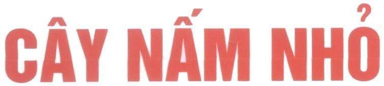Mẫu nhãn hiệu Cây Nấm Nhỏ