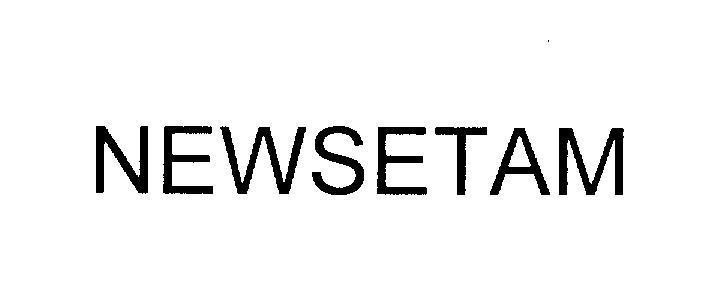 Mẫu nhãn hiệu NEWSETAM
