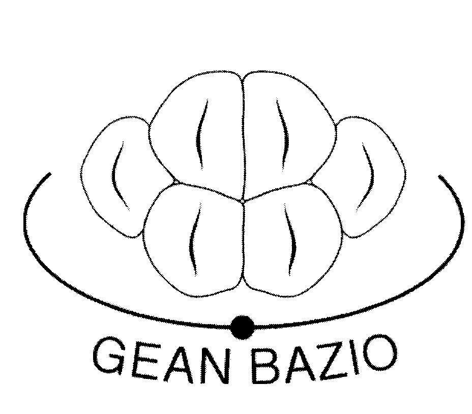 Mẫu nhãn hiệu GEAN BAZIO