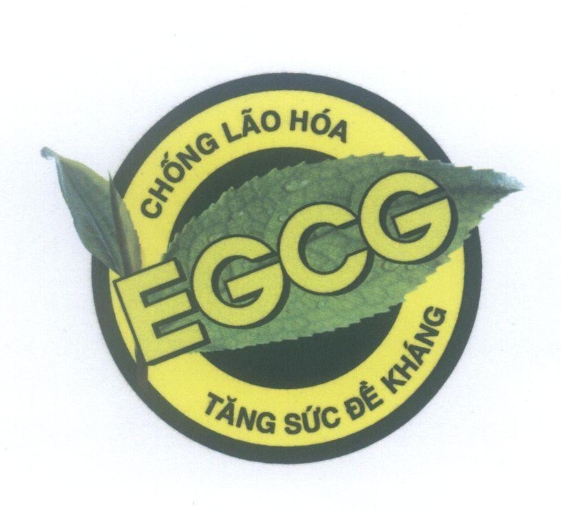 Mẫu nhãn hiệu EGCG Chống Lão Hoá Tăng Sức Đề Kháng