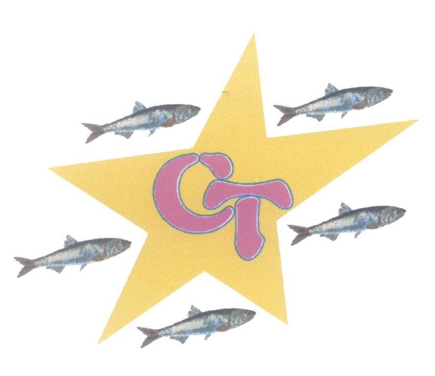 Mẫu nhãn hiệu CT C T
