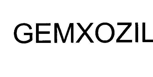 Mẫu nhãn hiệu GEMXOZIL