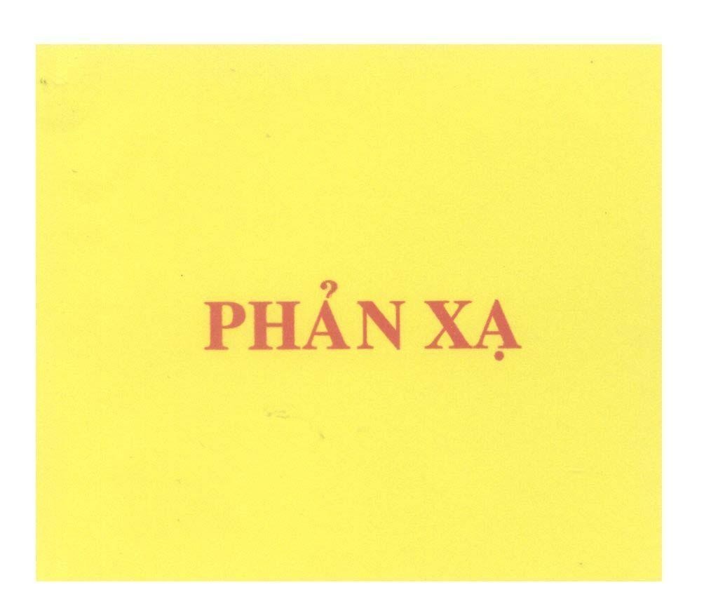 Mẫu nhãn hiệu Phản Xạ