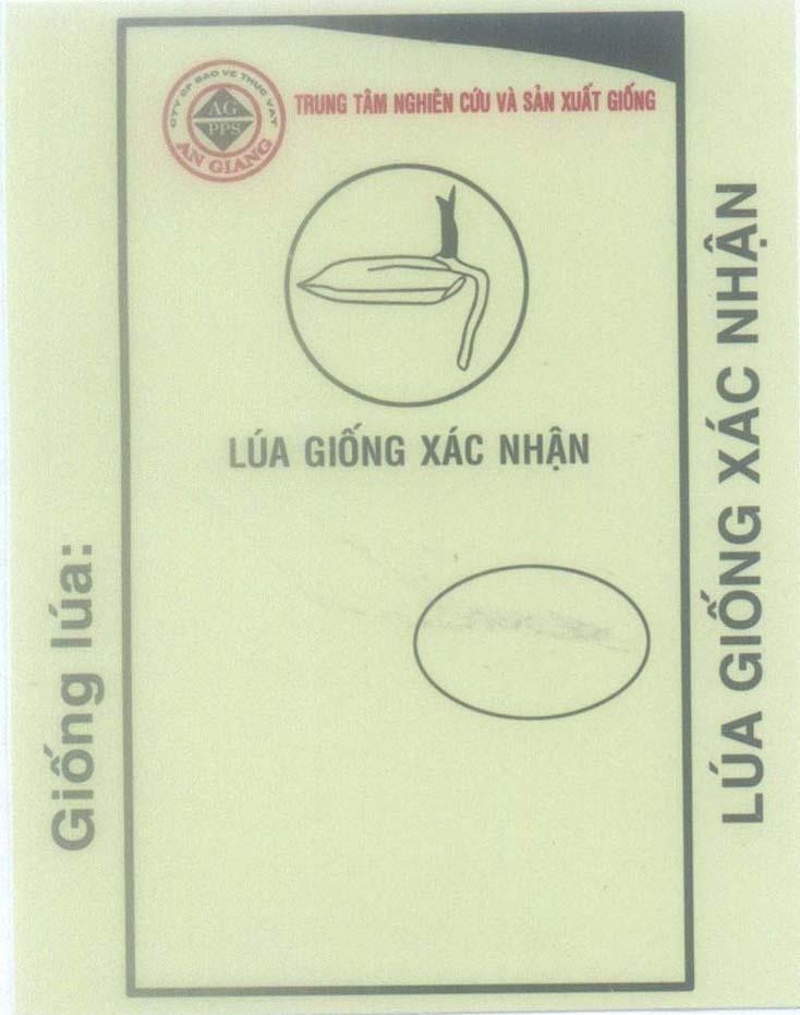 Mẫu nhãn hiệu Lúa giống nguyên chủng Trung tâm nghiên cứu và sản xuất giống AG PPS An Giang...