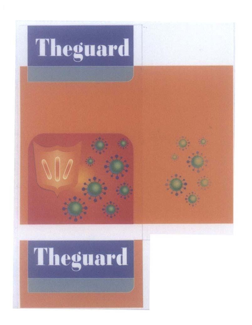 Mẫu nhãn hiệu Theguard