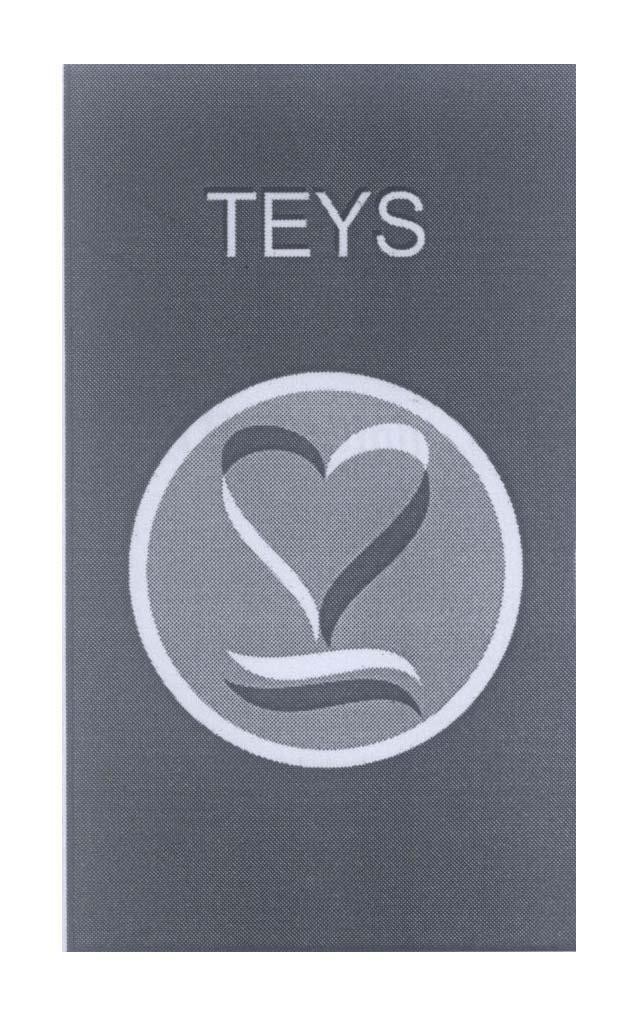 Mẫu nhãn hiệu TEYS