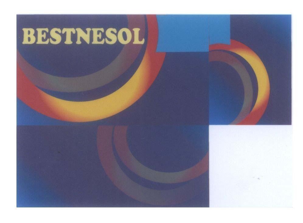 Mẫu nhãn hiệu BESTNESOL