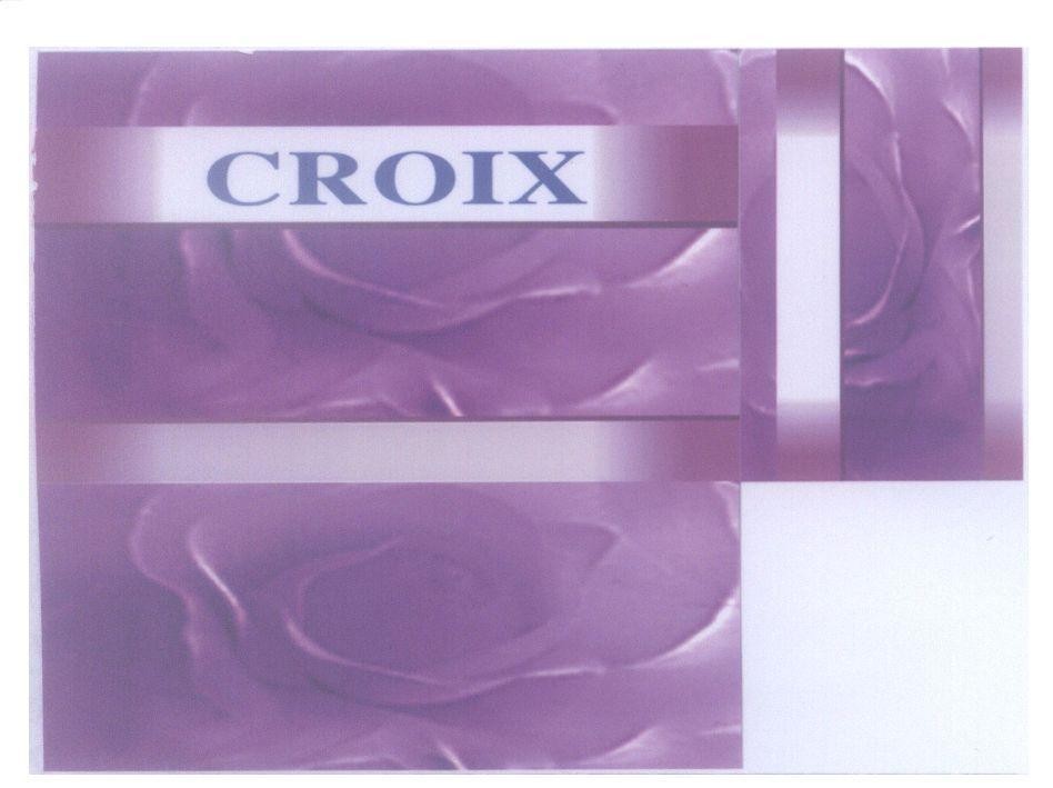 Mẫu nhãn hiệu CROIX