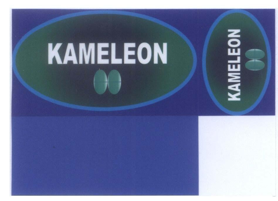 Mẫu nhãn hiệu KAMELEON