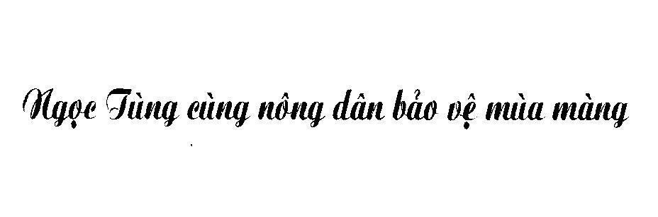 Mẫu nhãn hiệu Ngọc Tùng cùng nông dân bảo vệ mùa màng