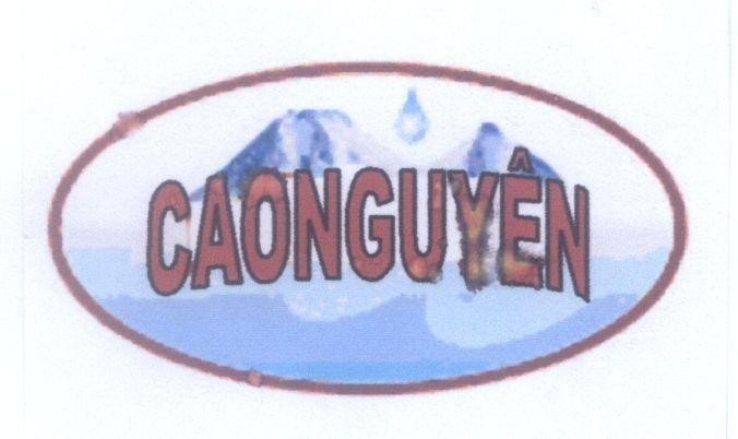 Mẫu nhãn hiệu CAONGUYÊN CAO NGUYÊN