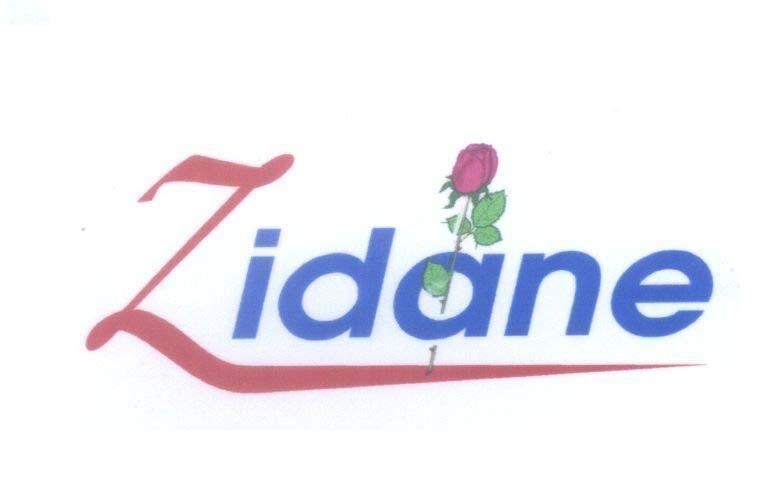 Mẫu nhãn hiệu Zidane Z idane
