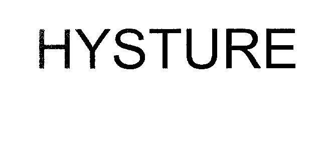 Mẫu nhãn hiệu HYSTURE