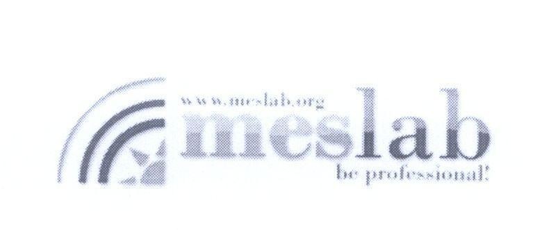 Mẫu nhãn hiệu meslab be professional www.meslab.org