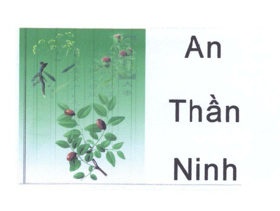 Mẫu nhãn hiệu An Thần Ninh