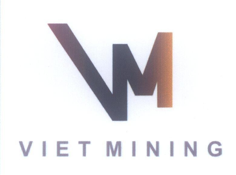 Mẫu nhãn hiệu VM V M VIET MINING