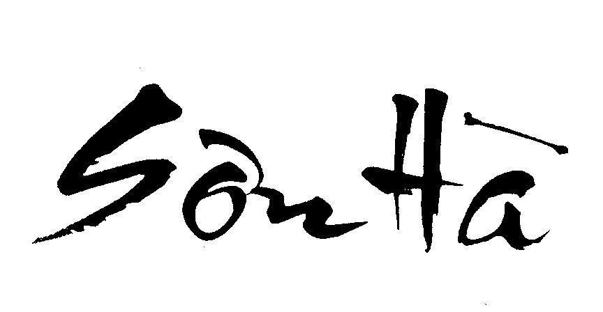 Mẫu nhãn hiệu Sơn Hà
