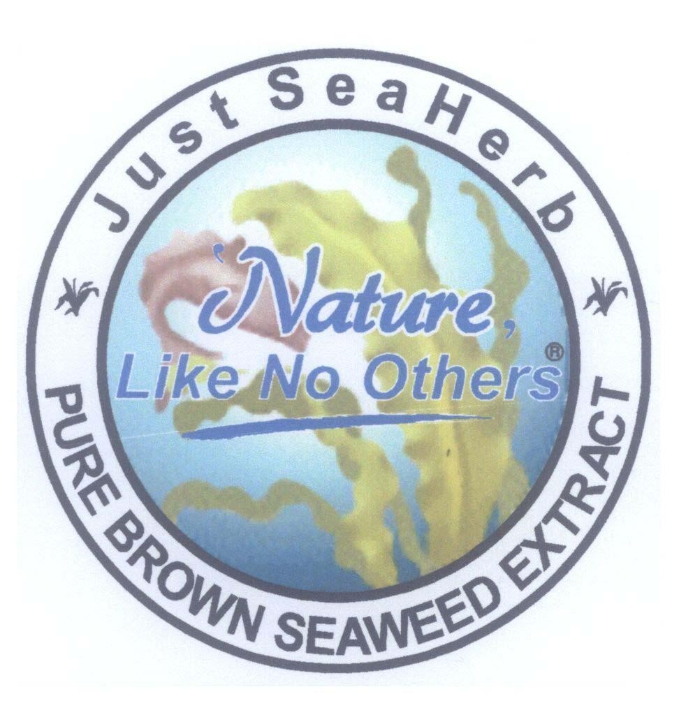 Mẫu nhãn hiệu Nature Like No Others Just SeaHerb PURE BROWN SEAWEED EXTRACT