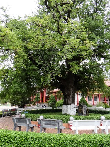 Bảo tàng Quang Trung — ảnh 11